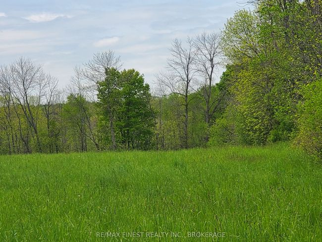 4677 Petworth Rd, Home with 0 bedrooms, 0 bathrooms and null parking in Harrowsmith ON | Image 7