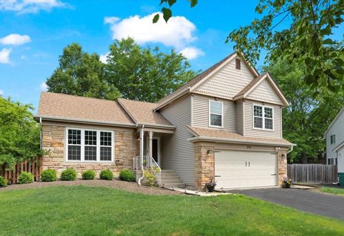 232 Lexington Ct, Grayslake, IL, 60030-3701 | Card Image