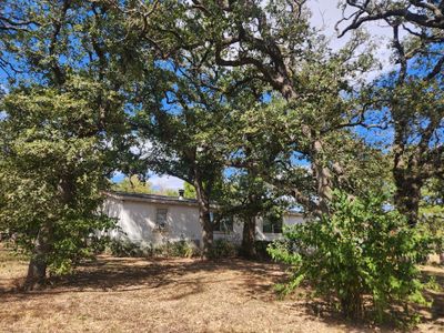 Various fruit trees amongst the oak tree in front of the home. | Image 2