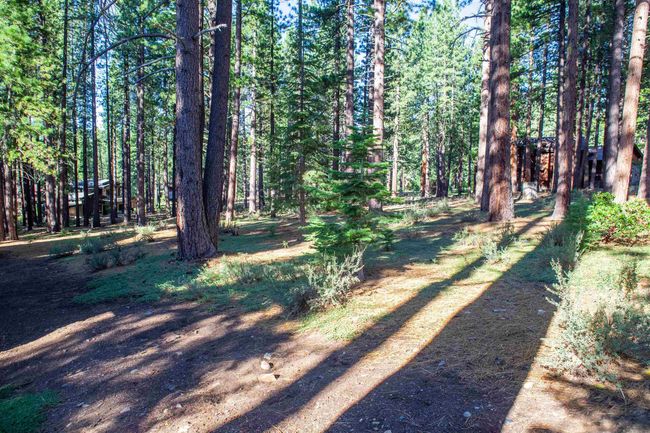 11561 Bottcher Loop, Home with 0 bedrooms, 0 bathrooms and null parking in Truckee CA | Image 7