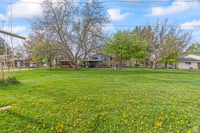 View of yard | Image 44