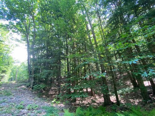 34-55 Carr Rd, Woodsville, NH, 03785-4202 | Card Image