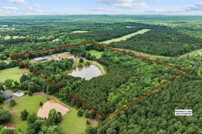 140 County Road 2242, House other with 3 bedrooms, 3 bathrooms and null parking in Daingerfield TX | Image 4