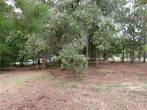 Lot 1 Sw Pine Bluffs Rd, Dunnellon, FL, 34431 | Card Image