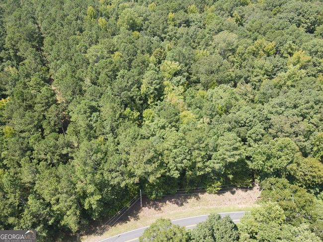 LOTT 22 Apalachee Woods Dr, Home with 0 bedrooms, 0 bathrooms and null parking in Buckhead GA | Image 14