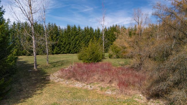 714550 1 St Line, House other with 4 bedrooms, 4 bathrooms and 16 parking in Mono ON | Image 38