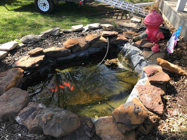 Exterior details with a garden pond | Image 17