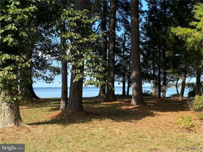 View of Lower Machodoc Creek across the Street | Image 3