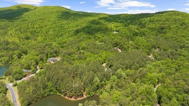 0 Golden Delicious Rd, Home with 0 bedrooms, 0 bathrooms and null parking in Clarkesville GA | Image 11