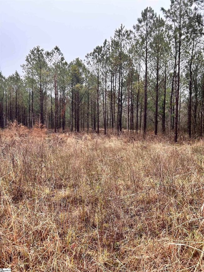 00 Columbia Rd, Home with 0 bedrooms, 0 bathrooms and null parking in Edgefield SC | Image 13