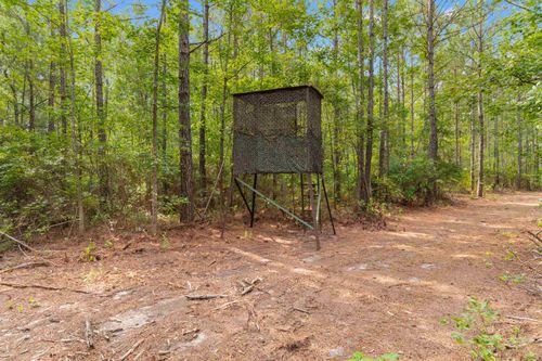 155.81 Acres - Roper Woods Rd., Lake City, SC, 29560 | Card Image