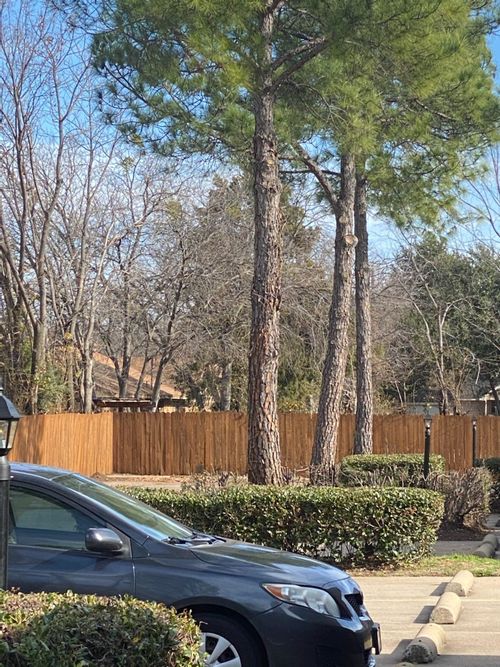 1118 Brady Dr, Irving, TX, 75061-4746 | Card Image