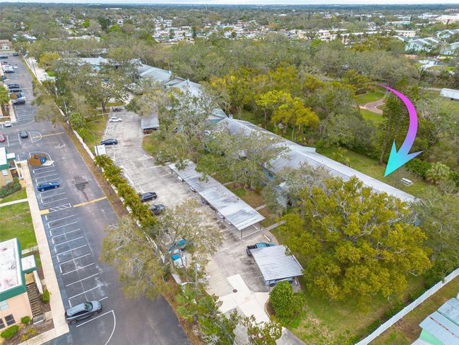 APT-505 - 11800 Park Blvd, Condo with 3 bedrooms, 2 bathrooms and null parking in Seminole FL | Image 27