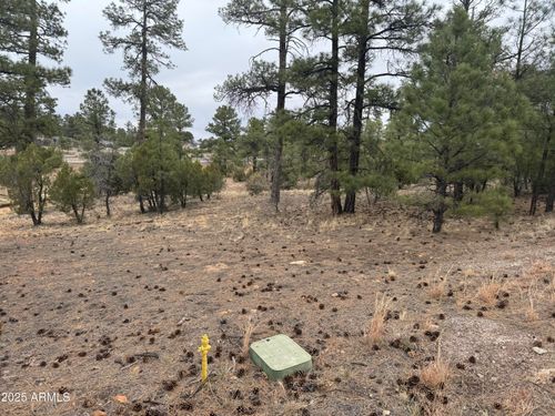 40-40 Timber Ridge Loop, Show Low, AZ, 85901-6779 | Card Image