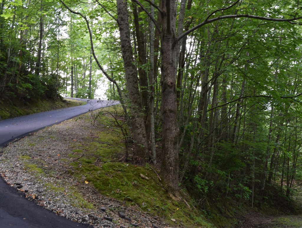 Land in Robbinsville 5