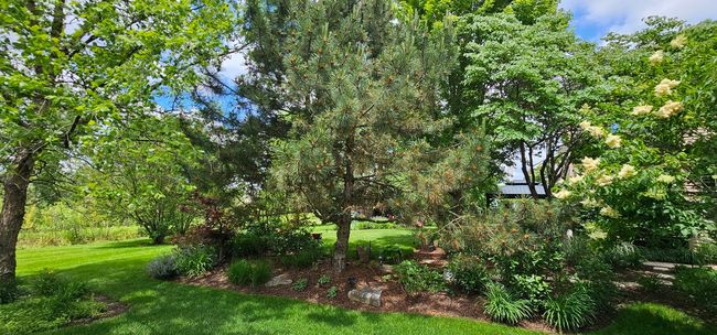 12941 Grande Poplar Cir, House other with 4 bedrooms, 3 bathrooms and 6 parking in Plainfield IL | Image 61