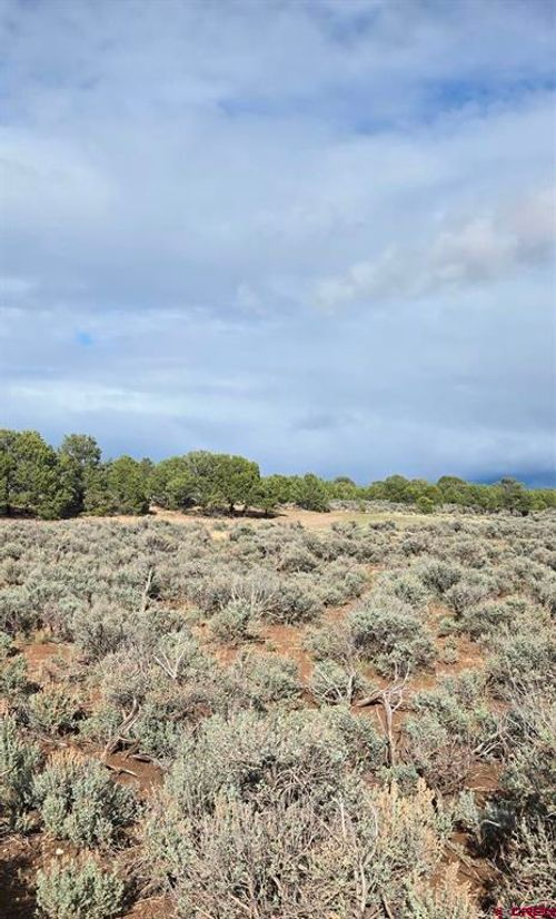 70356170 Parcel, Fort Garland, CO, 81123 | Card Image