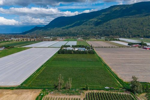 3387 Tolmie Rd, Abbotsford, BC, V3G2T9 | Card Image