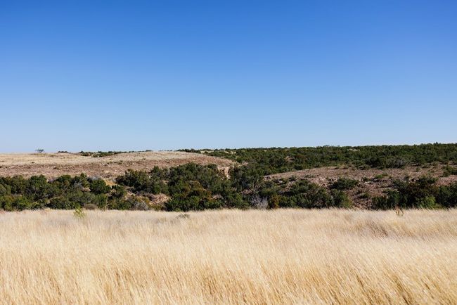 0000 Camp Springs Rd, Home with 0 bedrooms, 0 bathrooms and null parking in Snyder TX | Image 10