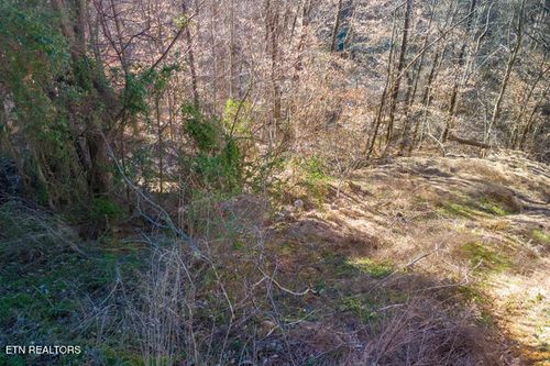 636 Stockton Dr, Sevierville, TN, 37876-2544 | Card Image