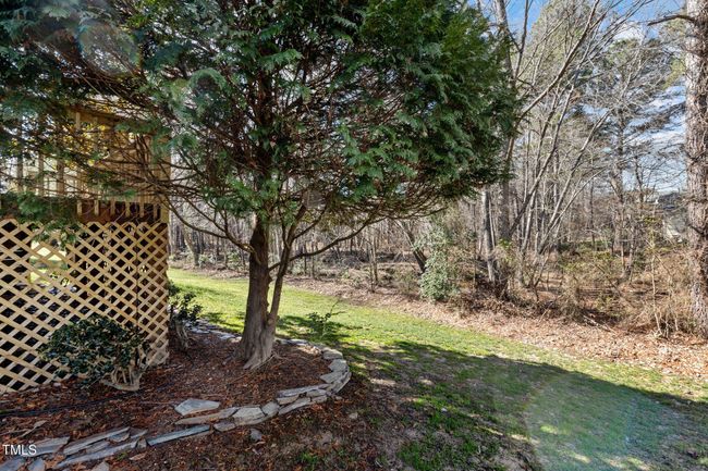 54-web-or-mls-IMGL5710 | Image 17