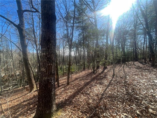 00 Academy Rd, Home with 0 bedrooms, 0 bathrooms and null parking in Mountain Rest SC | Image 31