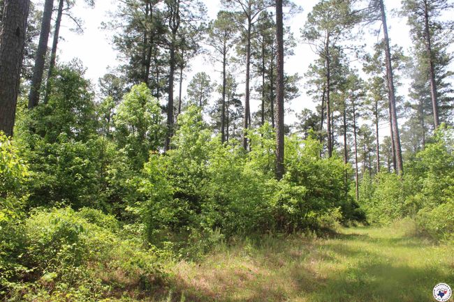 201 Nevada 25, Home with 0 bedrooms, 0 bathrooms and null parking in Rosston AR | Image 8