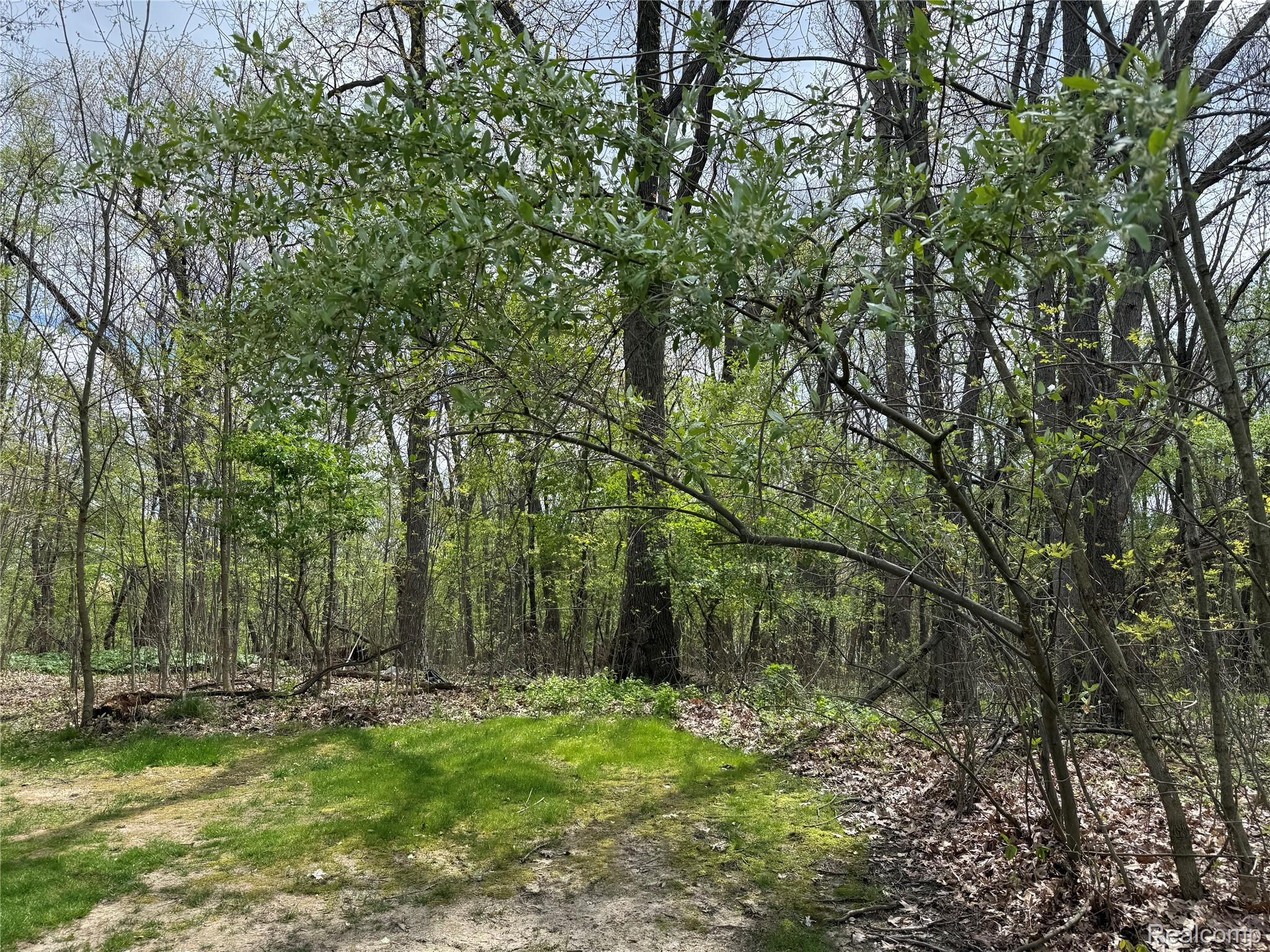 Land in Tyrone Township 4