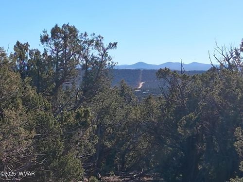 TBD 201-32-006, Concho, AZ, 85924 | Card Image