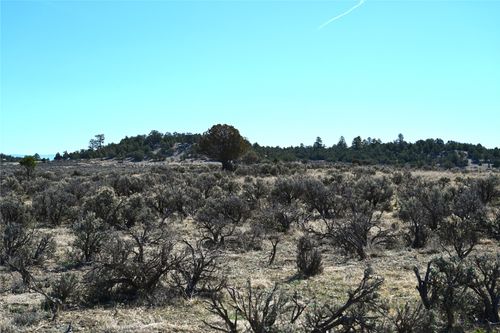00 Pajarrito Rd, Tierra Amarilla, NM, 87575 | Card Image