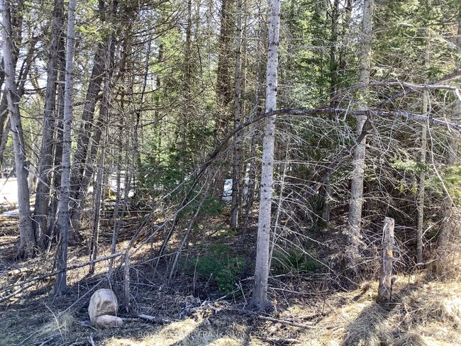 20833 Highway 118, Home with 0 bedrooms, 0 bathrooms and null parking in Wilberforce ON | Image 8