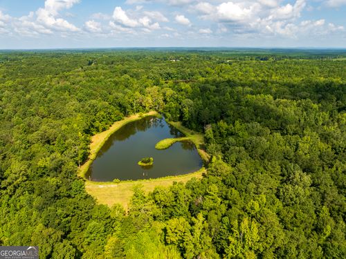 110 ACRES Talbotton Hwy, Butler, GA, 31006 | Card Image