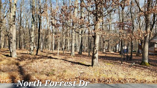 00 Lot Forest Dr, Milford, PA, 18337 | Card Image