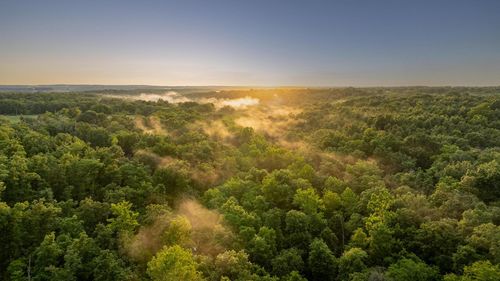 166 B State Road P, Long Lane, MO, 65590-4190 | Card Image