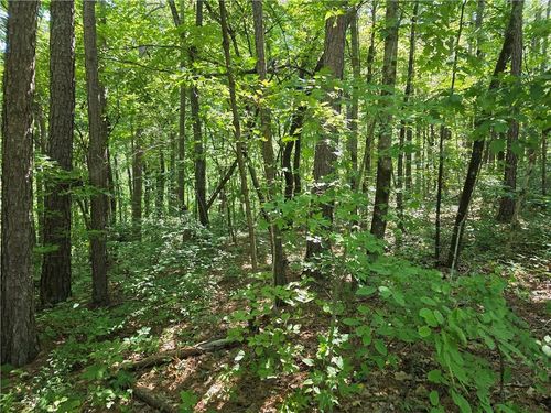 0 Byers Dr, Ball Ground, GA, 30107 | Card Image