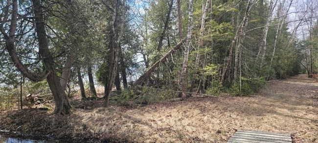 Lt0 E State Highway M35, Home with 0 bedrooms, 0 bathrooms and null parking in INGALLSTON MI | Image 10