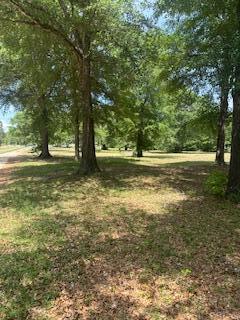 Land in Augusta 4