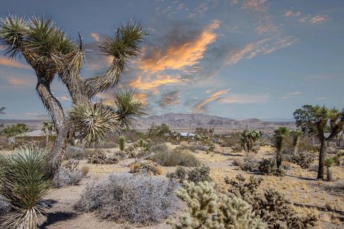 60586 La Mirada Trail, Joshua Tree, CA, 92252 | Card Image