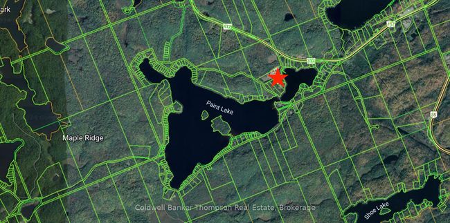 1078 Bellwood Acres, House other with 2 bedrooms, 2 bathrooms and 8 parking in Dorset ON | Image 44