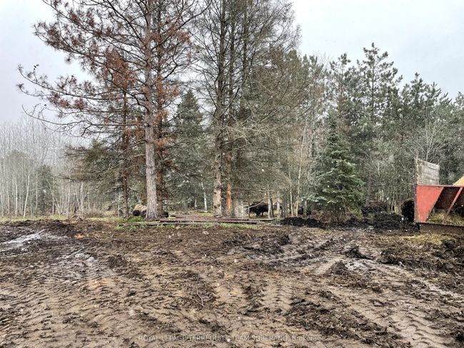 10138 Highway 64 N/A S, Home with 0 bedrooms, 0 bathrooms and null parking in West Nipissing ON | Image 23