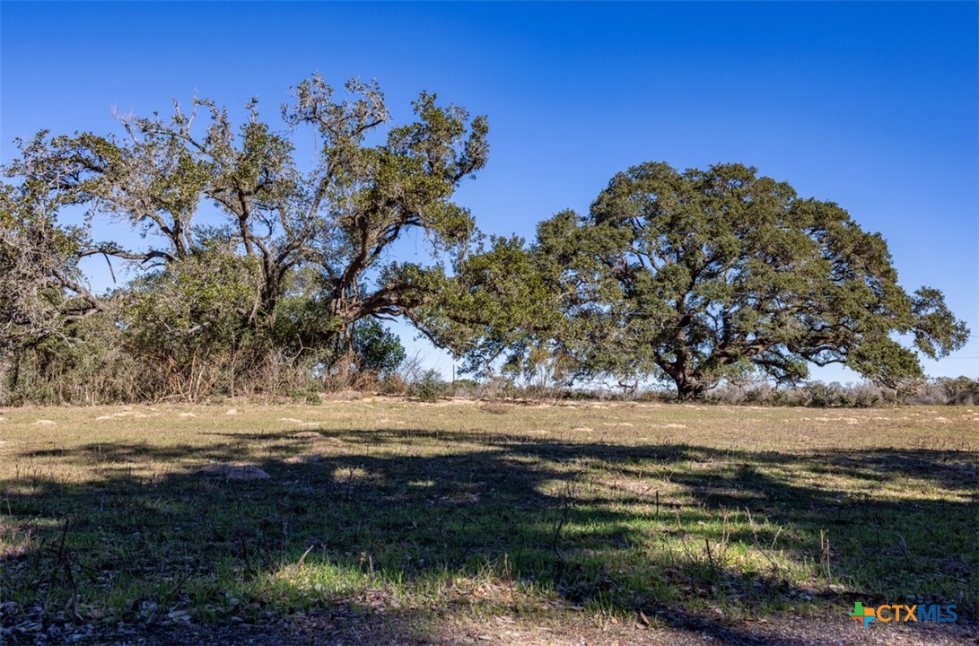 Farm in Edna 4