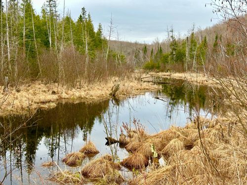 20-acres-ON Berry Ln, Crandon, WI, 54520 | Card Image