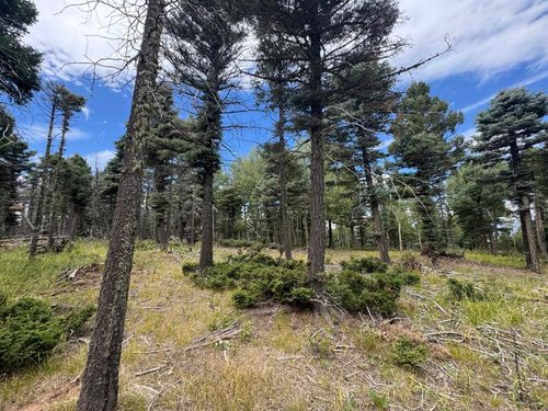 310 S Vail Overlook, Angel Fire, NM, 87710-8253 | Card Image