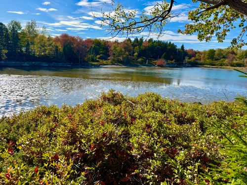 660 Round The Island Road, Vinalhaven, ME, 04863 | Card Image