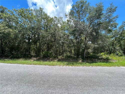 0 Malauka Radial Cir, Ocklawaha, FL, 32179 | Card Image