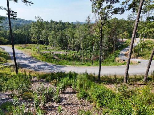 LOT 3 Mountain Laurel Ridge, Mineral Bluff, GA, 30559 | Card Image