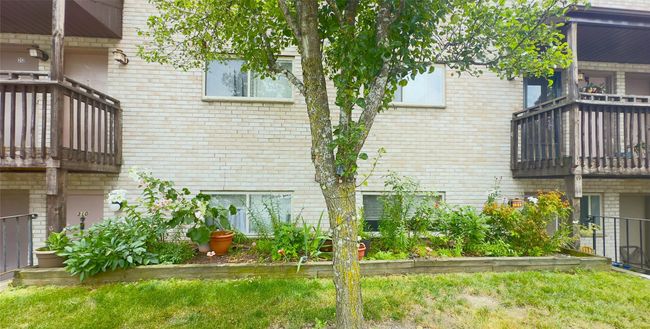 Flower Beds | Image 15