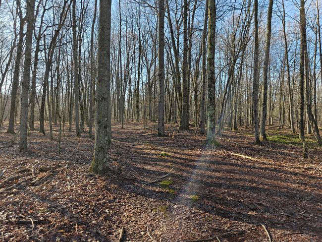 10830 3 Mile Rd, Home with 0 bedrooms, 0 bathrooms and null parking in Branch MI | Image 35