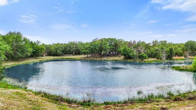 Gorgeous 1 acre pond professionally stocked with bass and other fish. Bring your fishing pole! RV sits where homesite was planned. | Image 6
