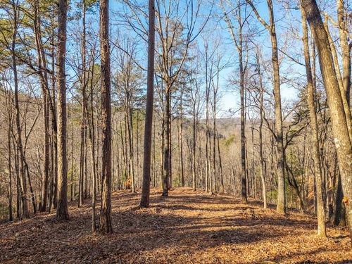 1665 Hunter Drive, Talking Rock, GA, 30175 | Card Image